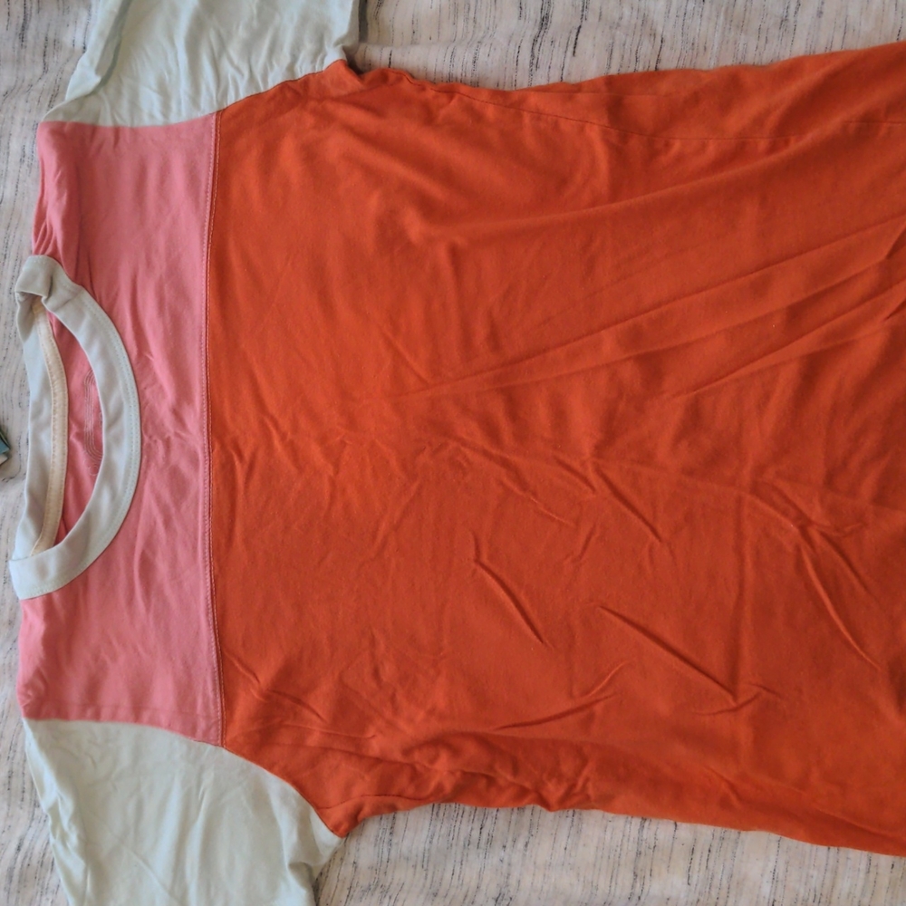 Big Bud Press colorblock tee